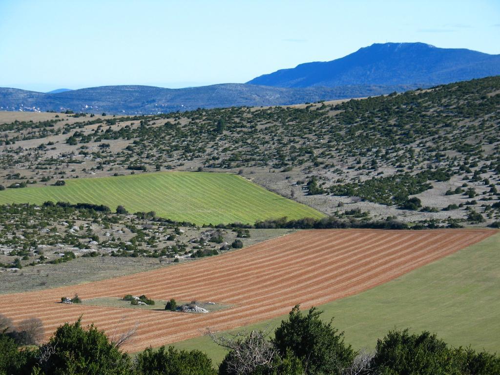 Mas Des Clauzals Hotel Le Cros Bagian luar foto